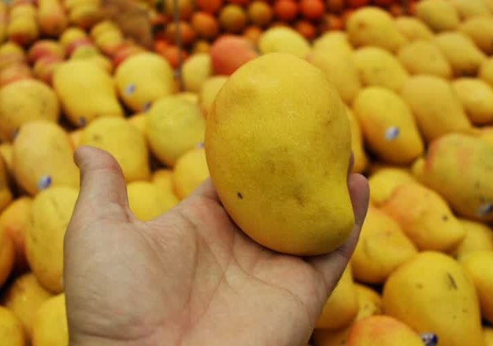 Mango