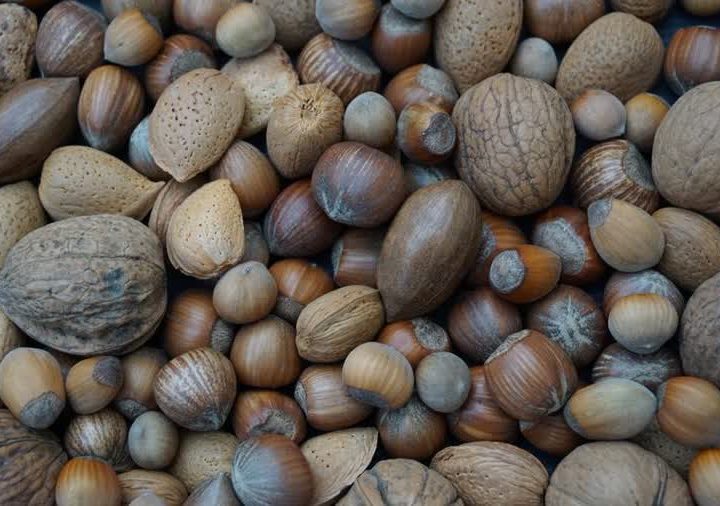 Nuts